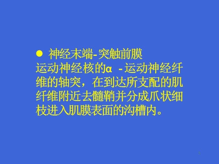 重症肌无力的症状鉴别 ppt医学课件_第5页