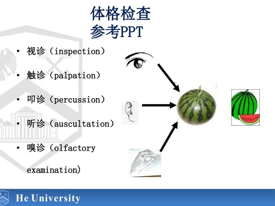 体格检查参考PPT_第5页