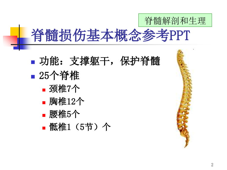 脊髓损伤基本概念参考PPT_第2页