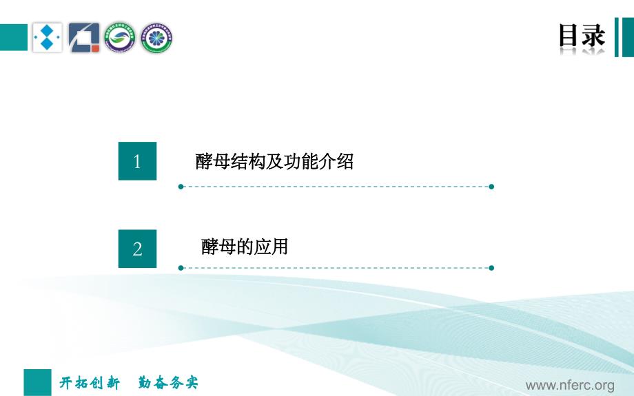 酵母及其应用参考PPT_第3页