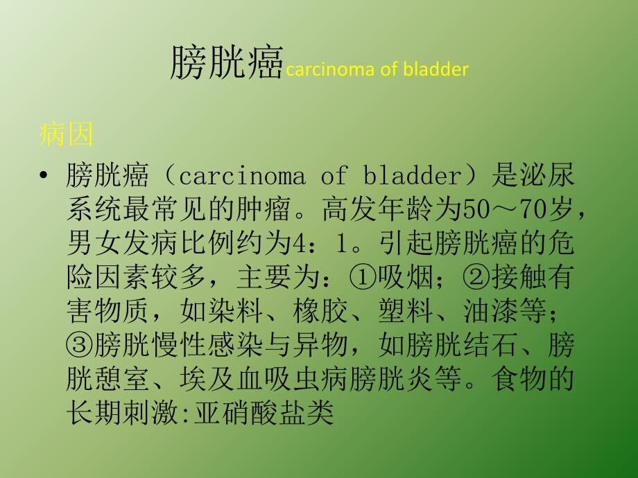 外科护理泌尿系肿瘤本科ppt医学课件_第4页