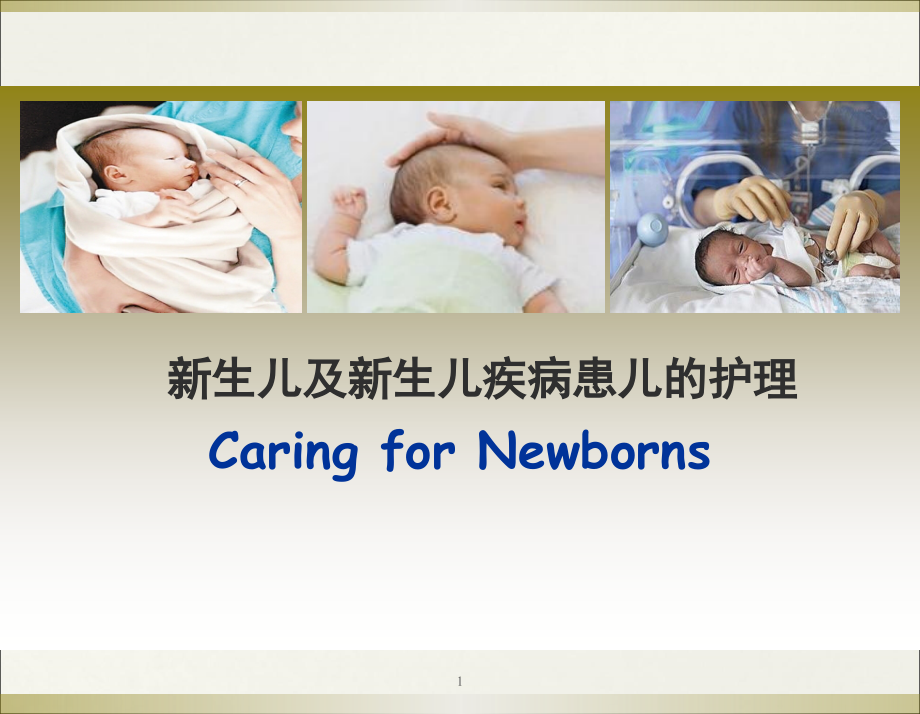 新生儿及新生儿疾病患儿的护理 ppt医学课件_第1页