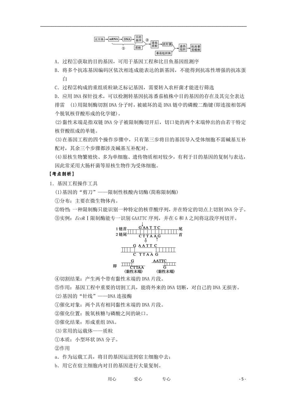 寿县安丰中学2013届高三生物一轮复习 第七单元 从杂交育种到基因工程教案.doc_第5页