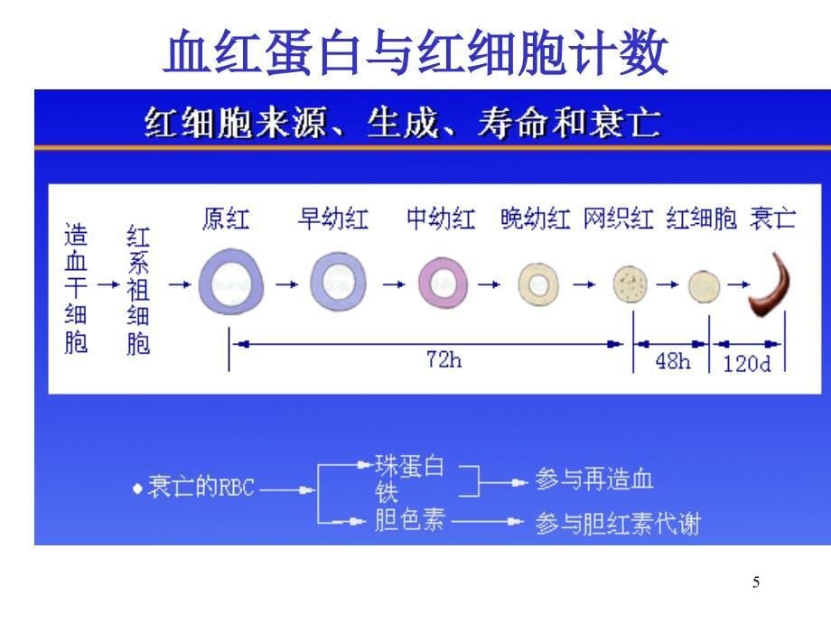 诊断学基础血液一般检查ppt医学课件_第5页