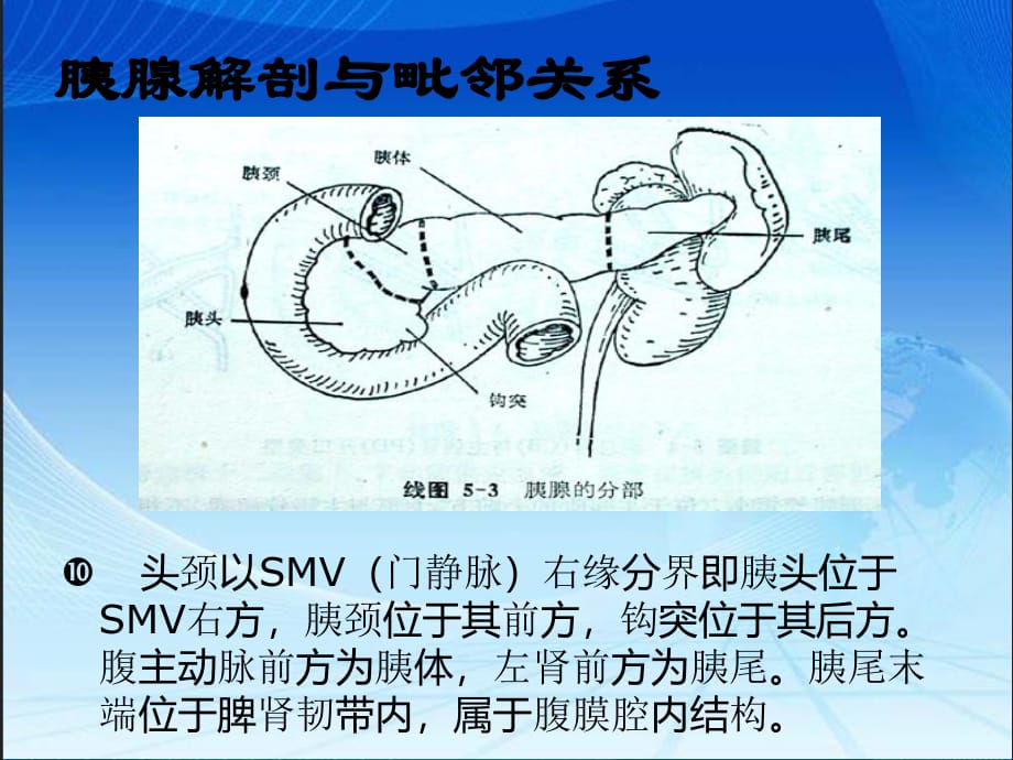 胰腺炎的影像学表现ppt医学课件_第5页