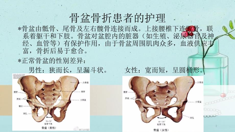 骨盆骨折患者的护理参考PPT_第2页