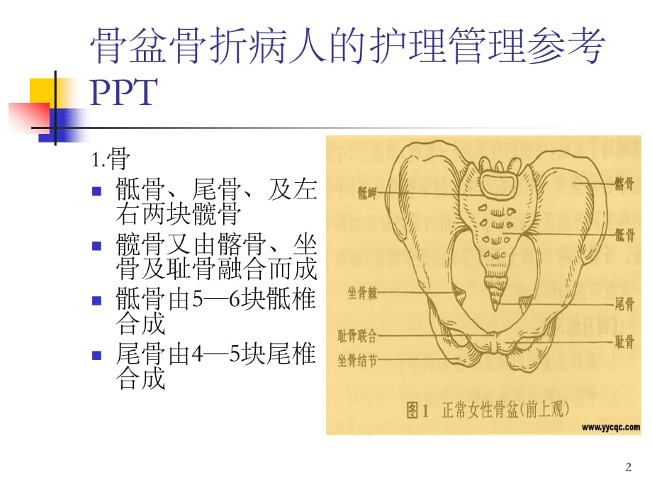 骨盆骨折病人的护理管理参考PPT_第2页