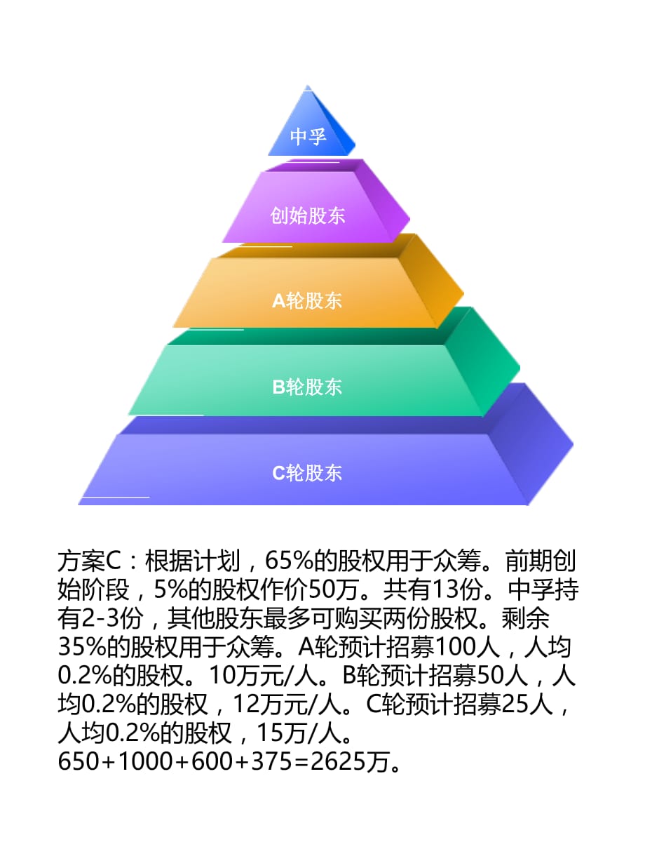 4种股东设计方案_第3页