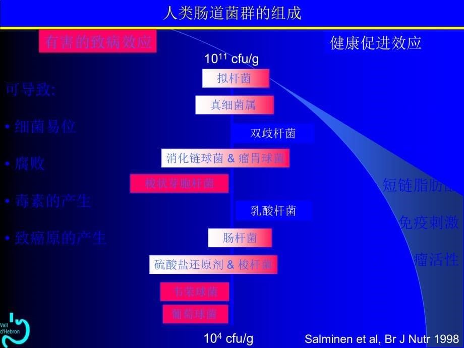 肠道微生态课件PPT_第5页