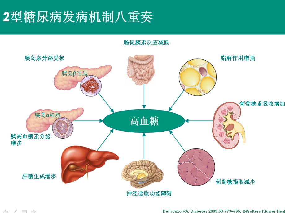 型糖尿病口服药物合理使用课件PPT_第2页