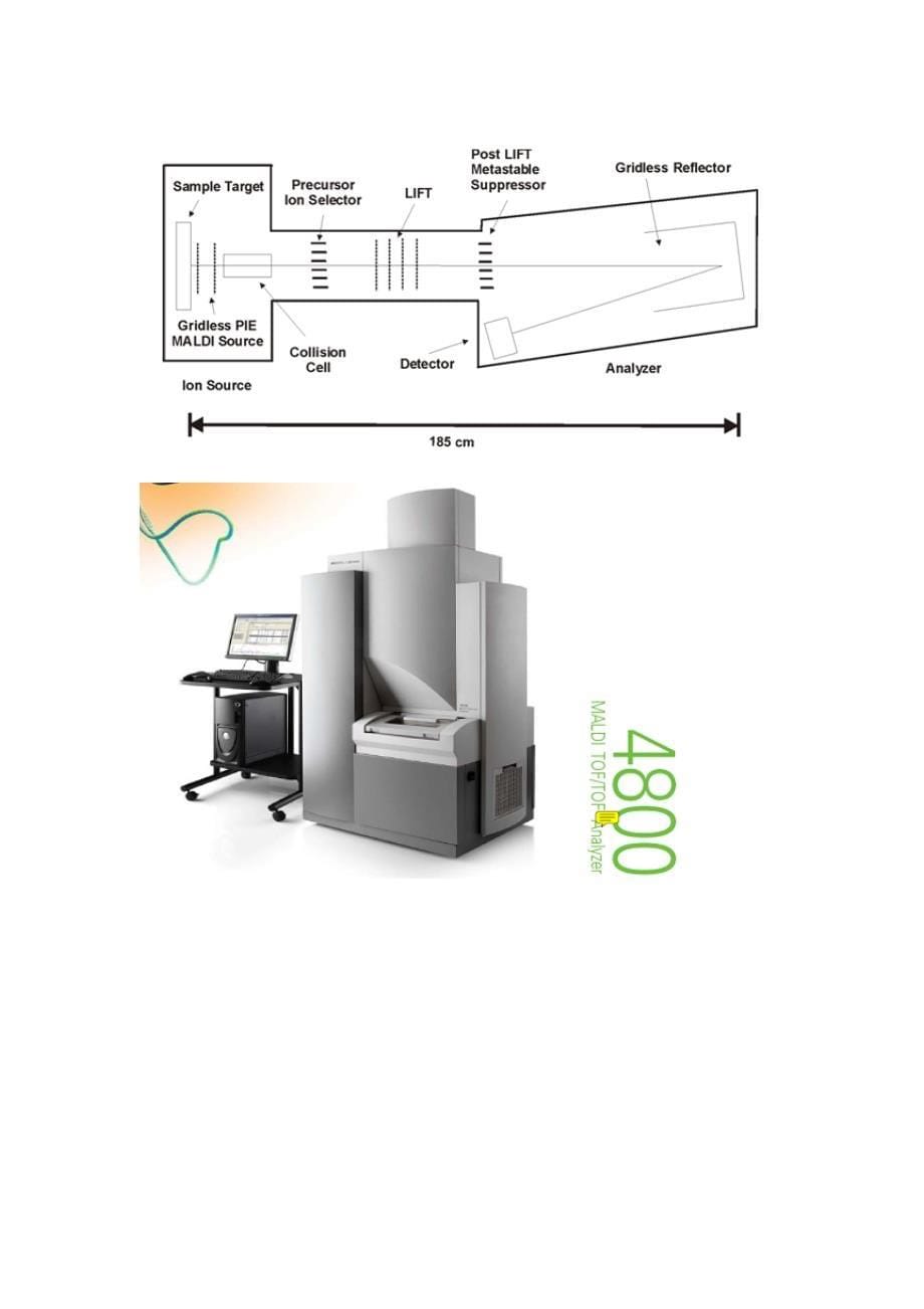 基质辅助激光解吸电离飞行时间质谱及其应用.doc_第5页