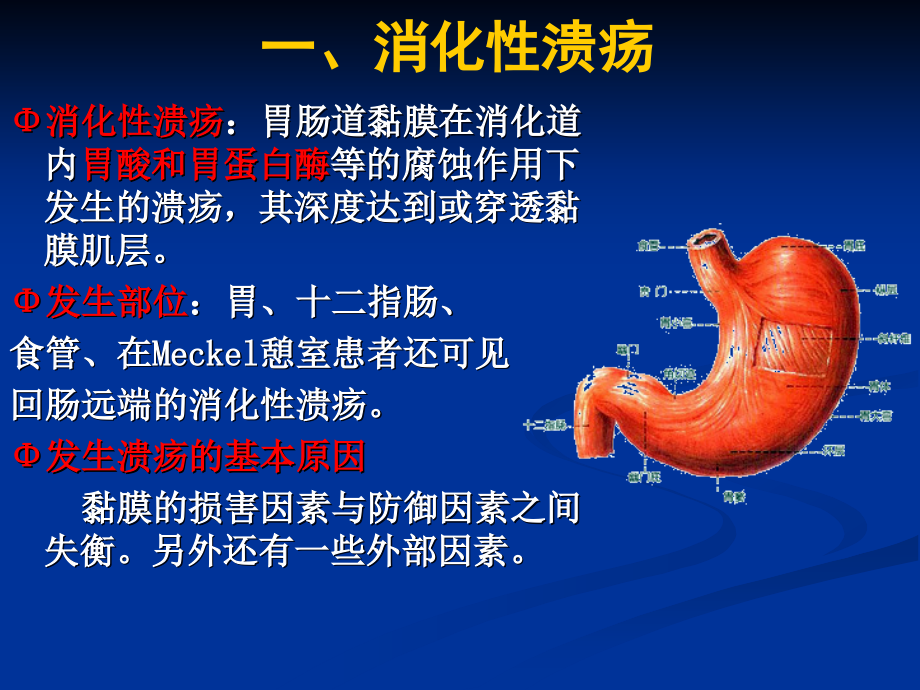 消化系统常见疾病的基本药物治疗课件PPT_第3页