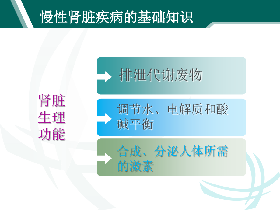 慢性肾脏病的护理课件PPT_第4页