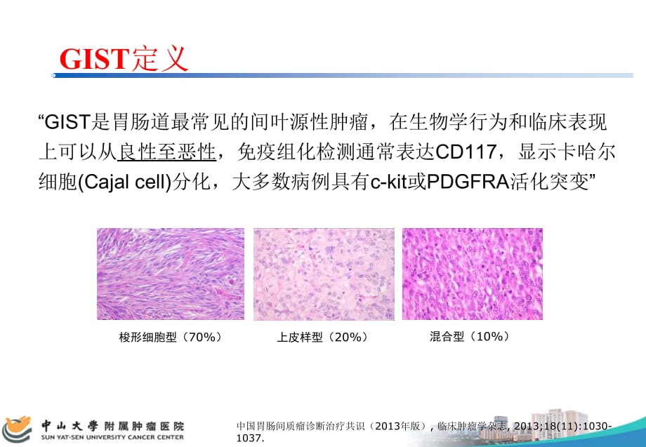 直肠胃肠道间质瘤课件PPT_第2页