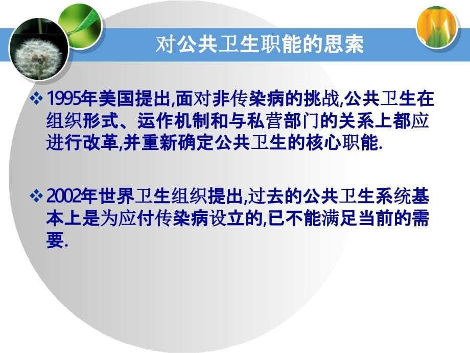 中国慢病防控的历史发展PPT课件_第5页