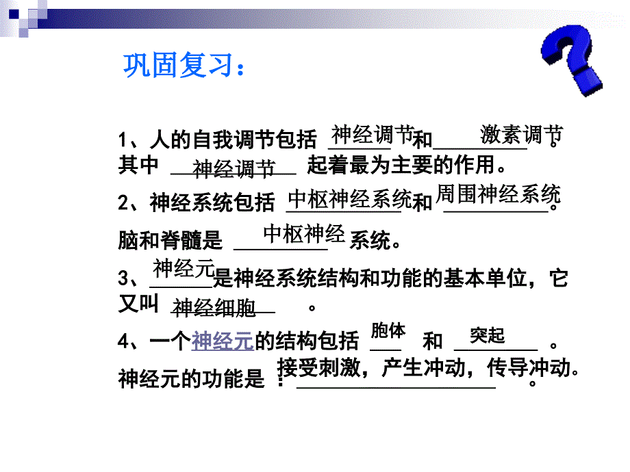 神经系统与神经调节1幻灯片课件_第1页