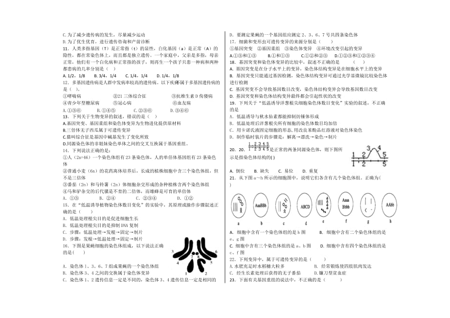 人教版高中生物必修二月考_第2页