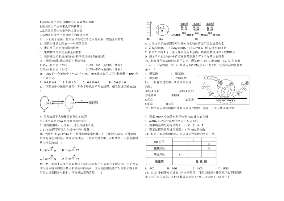 人教版高中生物必修二月考_第3页