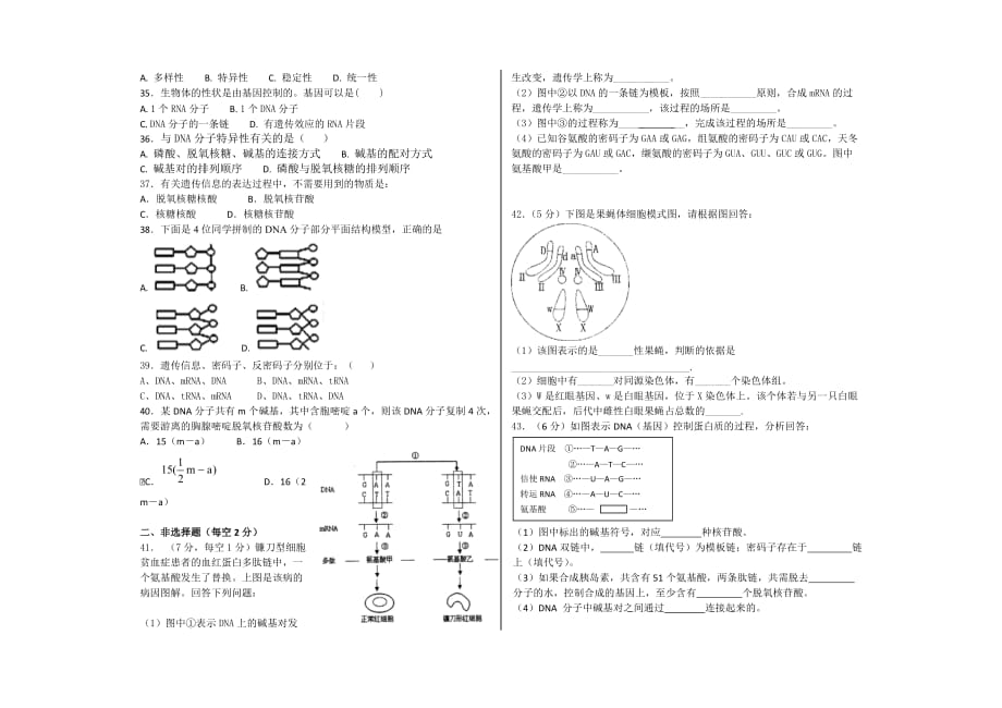 人教版高中生物必修二月考_第4页