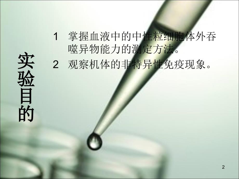 小吞噬细胞实验ppt医学课件_第2页