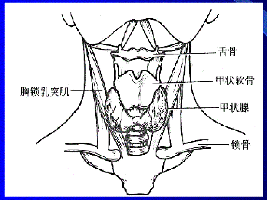 甲亢患者术后的护理课件PPT_第4页