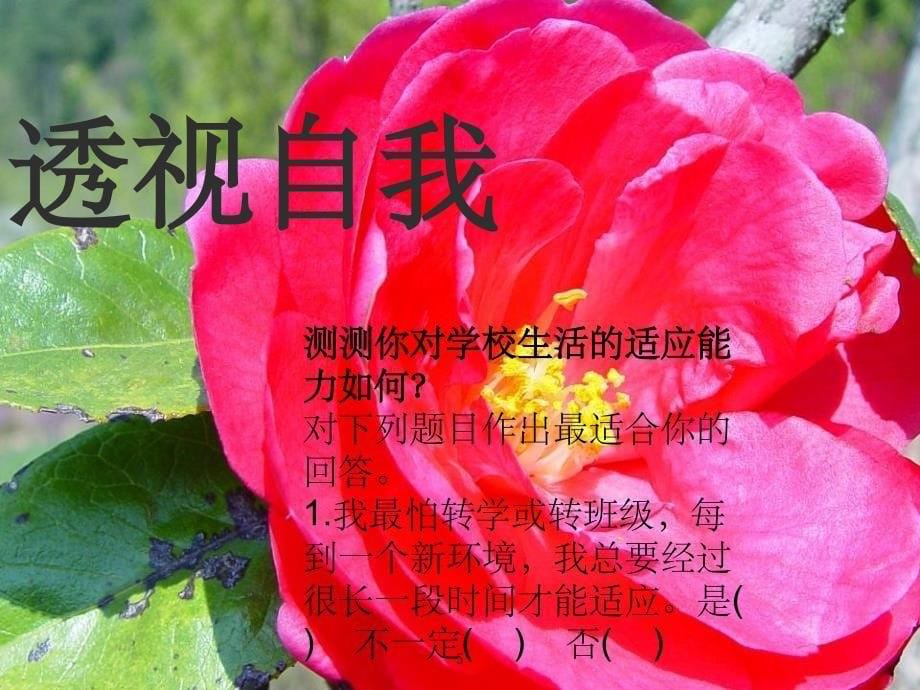 七年级班会(收心)PPT幻灯片_第5页