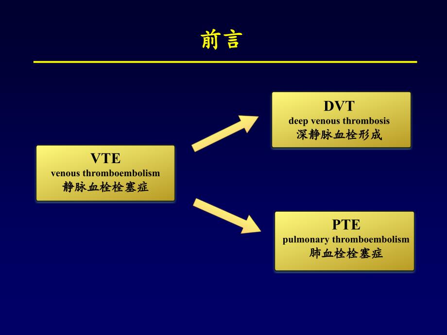 腔静脉滤器植入护理ppt医学课件_第2页