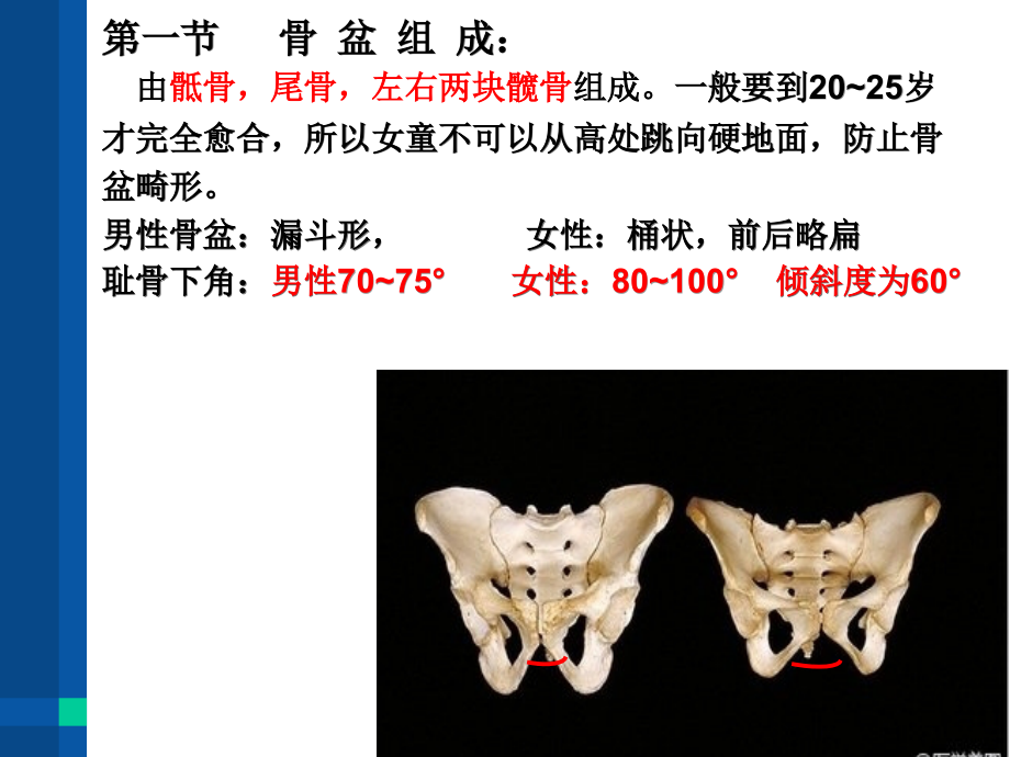 生殖 ppt医学课件_第3页