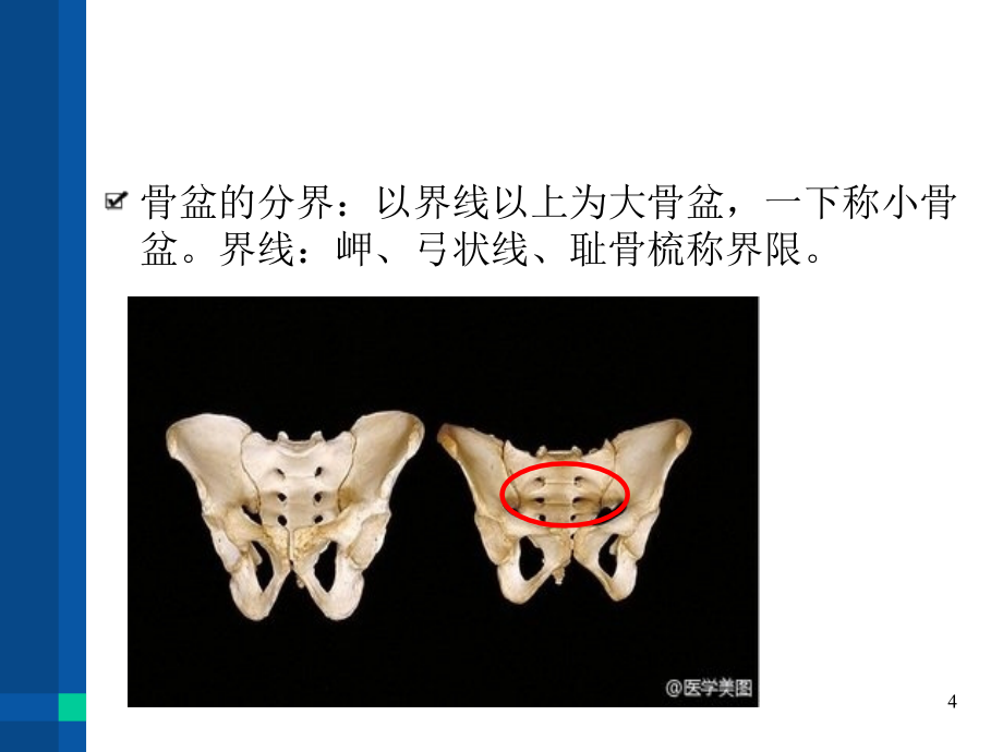 生殖 ppt医学课件_第4页