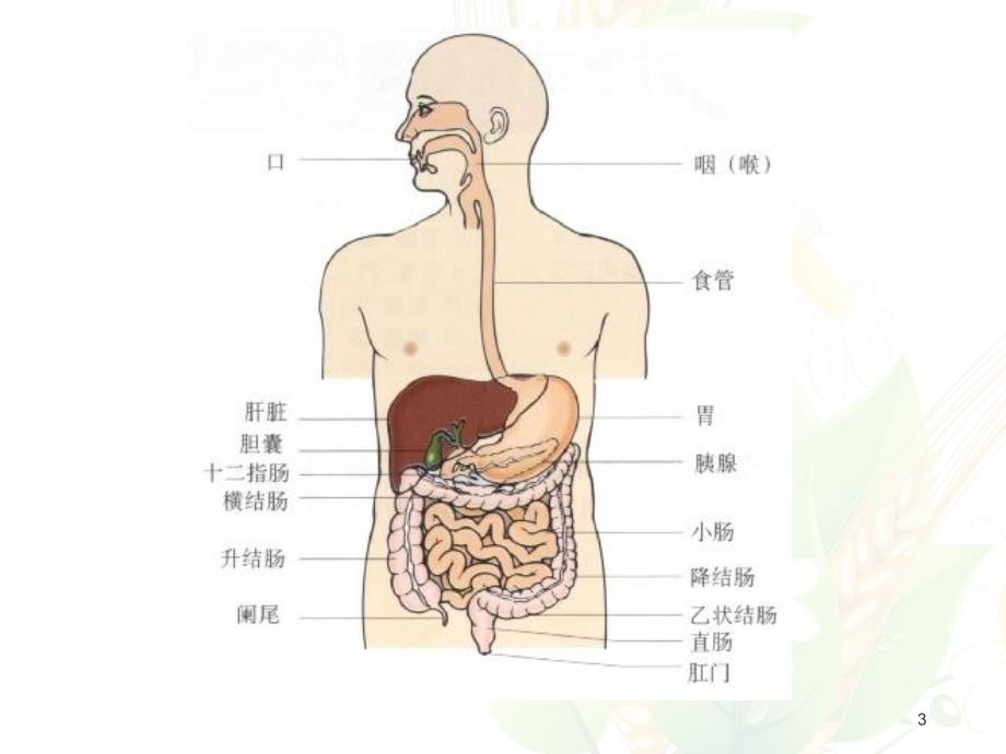 消化道出血的护理 ppt医学课件_第3页