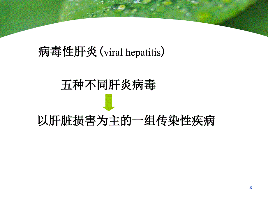 流行病学病毒性肝炎课件PPT_第3页