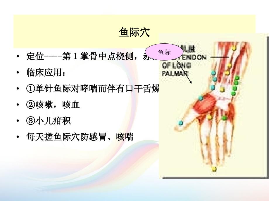 针灸推拿常用穴位图解课件PPT_第4页