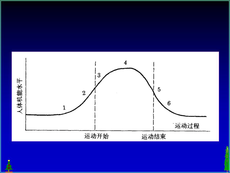 运动过程中人体机能变化规律ppt医学课件_第2页