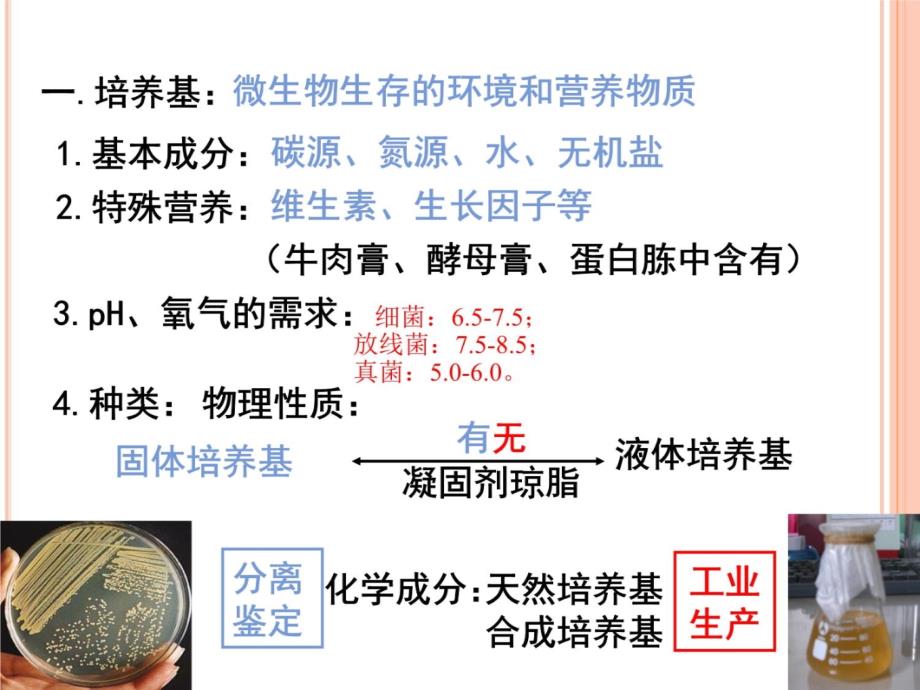 实验五-微生物培养基配制与灭菌教案资料_第3页