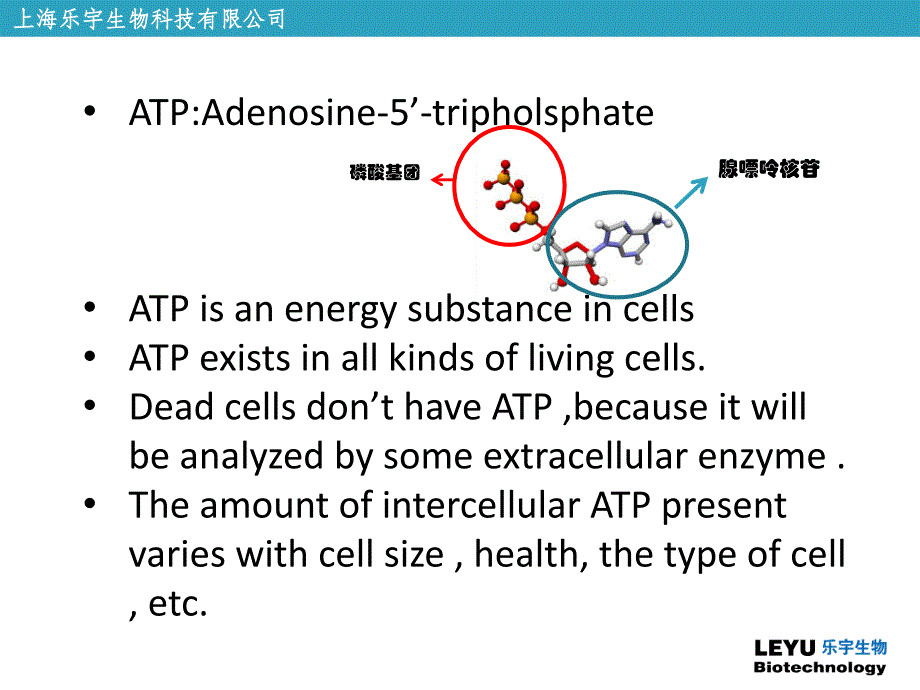 ATP荧光检测仪指导_第3页