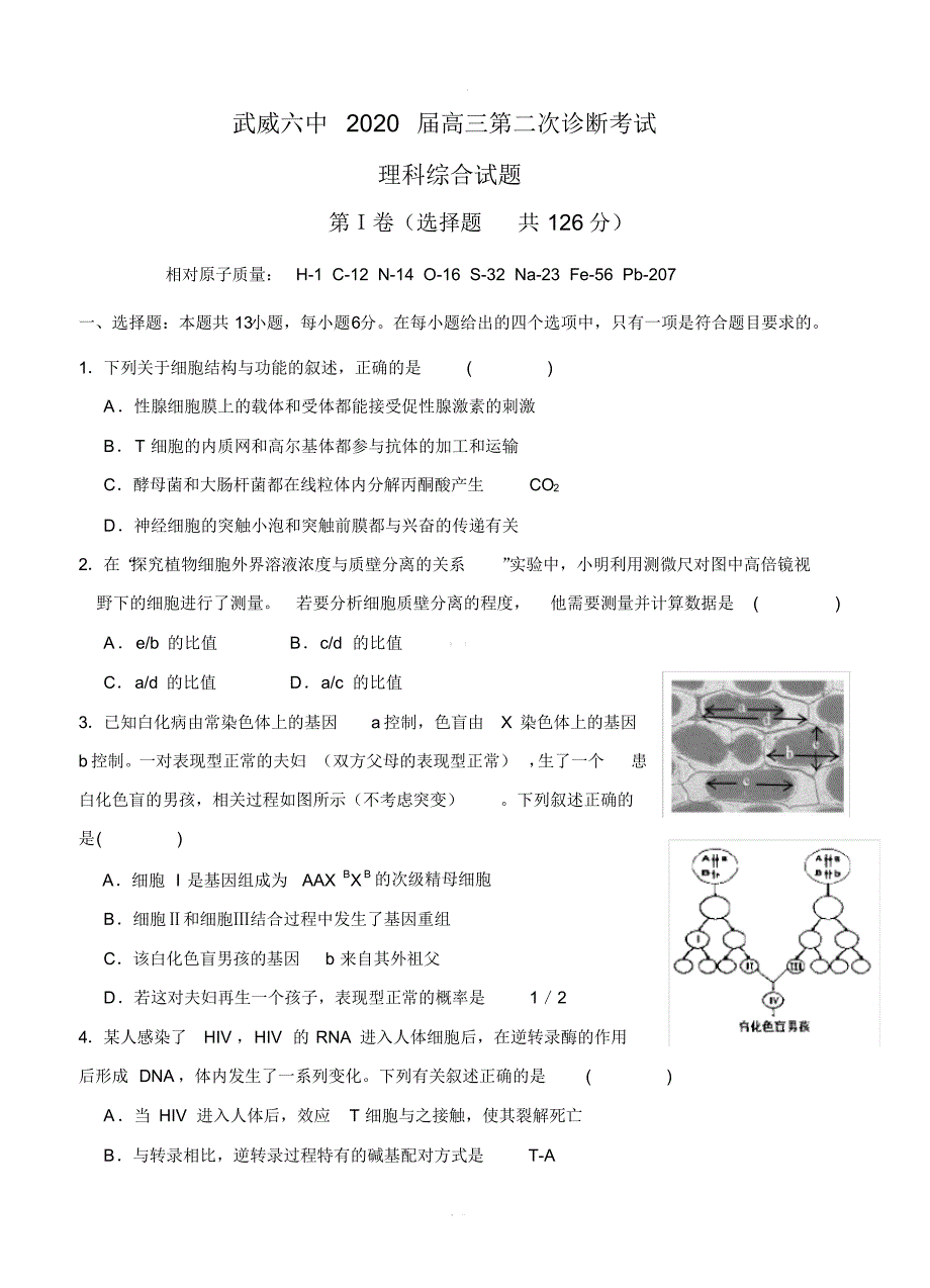 最新-甘肃省武威第六中学2020届高三下学期第二次诊断考试理科综合【带答案】_第1页