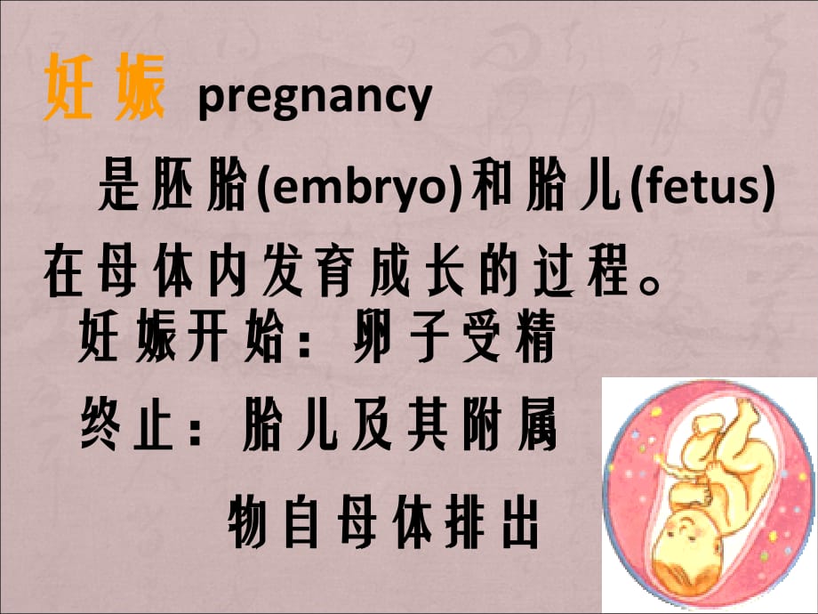 妊娠生理课件PPT_第1页