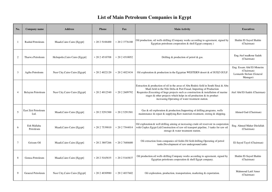 埃及主要石油公司_第1页