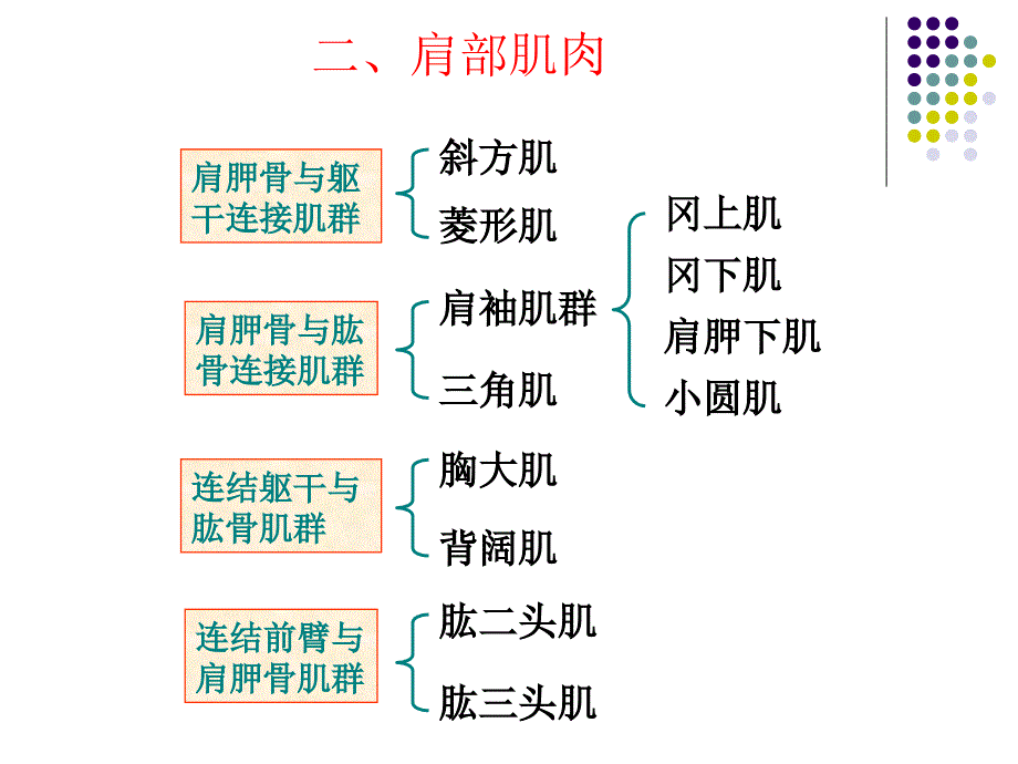 肩部损伤课件PPT_第3页