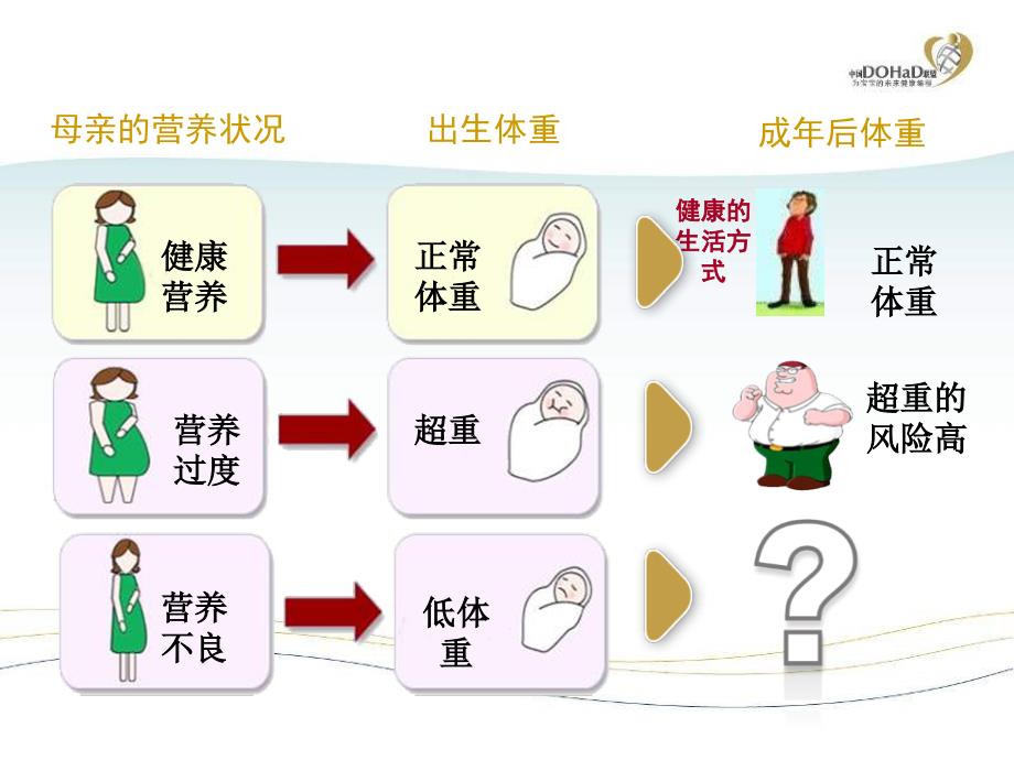 DOHaDMamaClass课件PPT_第3页