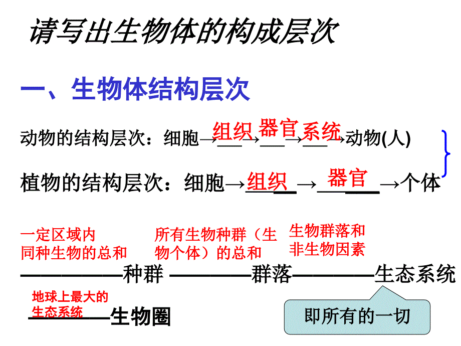 细胞组织器官和系统的复习课件PPT_第4页