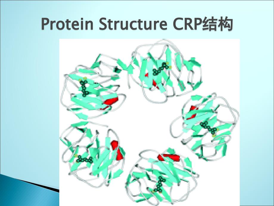 C反应蛋白及临床应用课件PPT_第2页