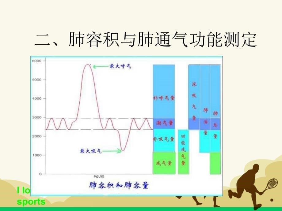 心肺功能评定y课件PPT_第5页