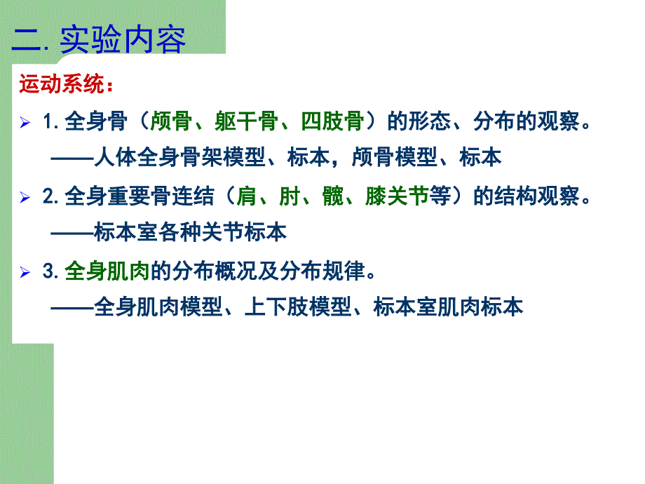 心理学院实验运动系统神经系统观察课件PPT_第3页