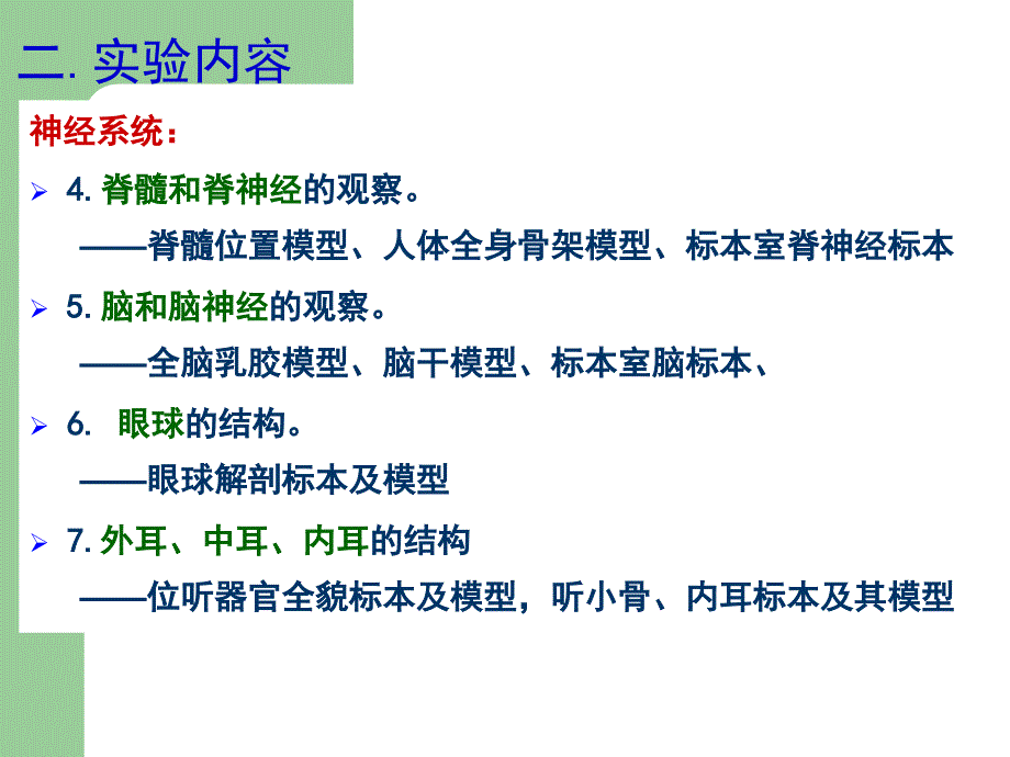 心理学院实验运动系统神经系统观察课件PPT_第4页