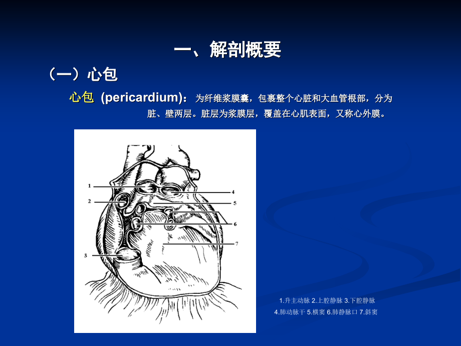 心脏彩超操作临床应用课件PPT_第3页