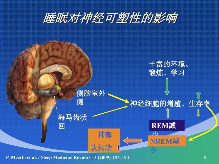 睡眠障碍新进展课件PPT_第5页