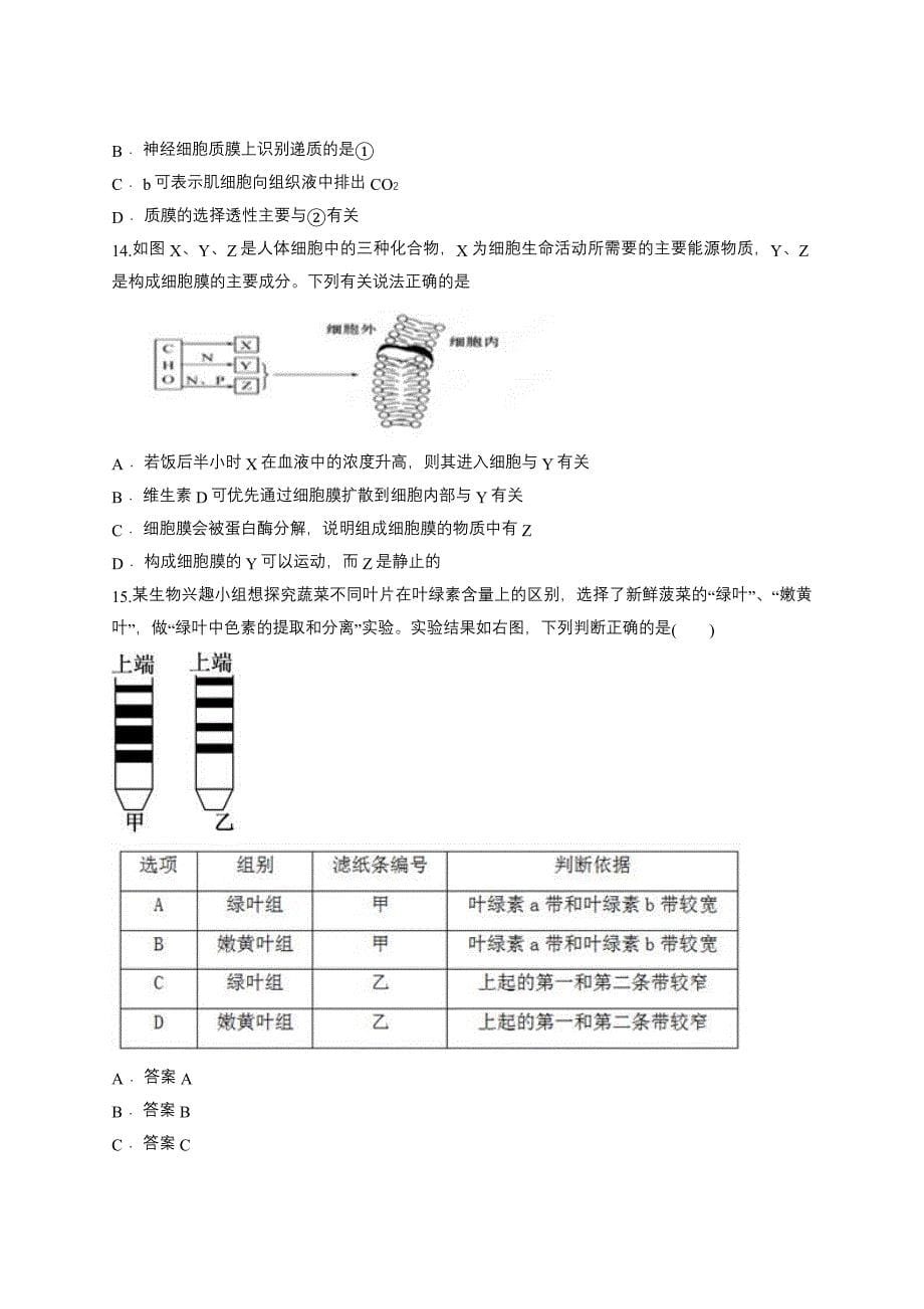 2020年高考生物复习专题：分子与细胞（含答案解析）_第5页