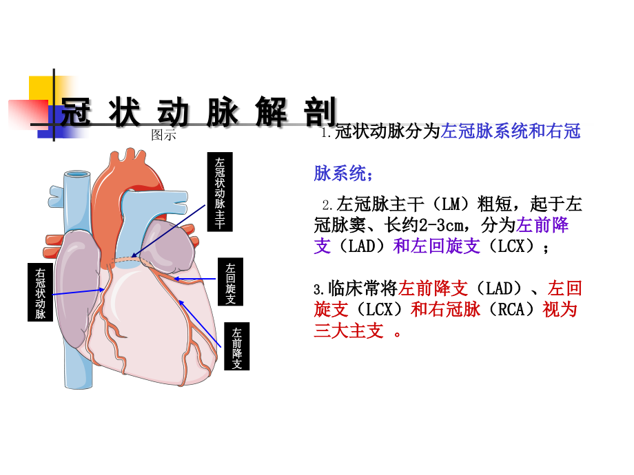 急性心肌梗死的识别课件PPT_第3页