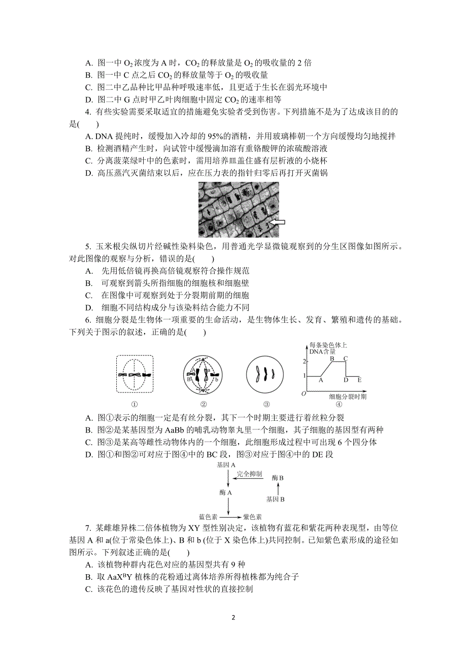 江苏省扬州市2020届高三第二次模拟考试（5月） 生物 Word版含答案_第2页